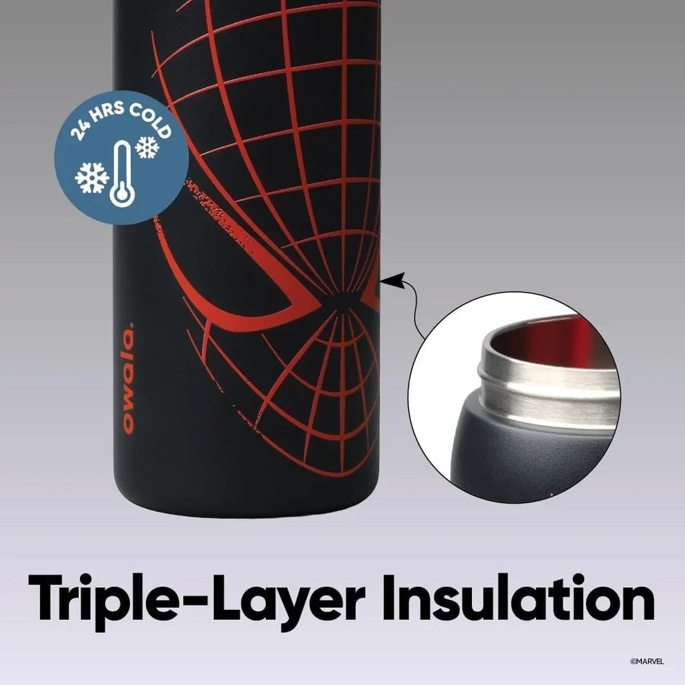 Spiderman Night Watch 32oz FreeSip Water Bottle